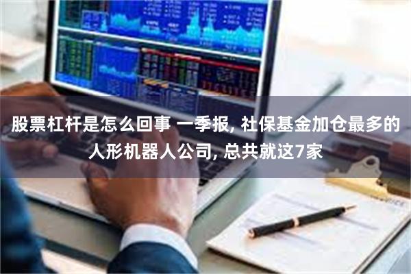 股票杠杆是怎么回事 一季报, 社保基金加仓最多的人形机器人公司, 总共就这7家