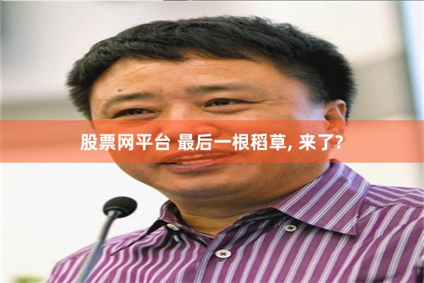 股票网平台 最后一根稻草, 来了?