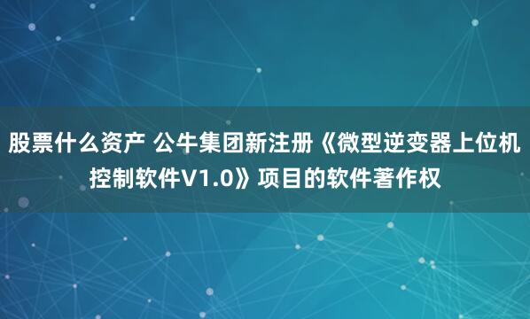 股票什么资产 公牛集团新注册《微型逆变器上位机控制软件V1.0》项目的软件著作权