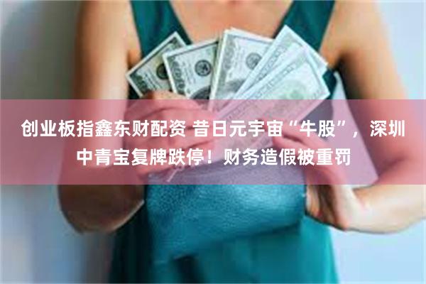 创业板指鑫东财配资 昔日元宇宙“牛股”，深圳中青宝复牌跌停！财务造假被重罚