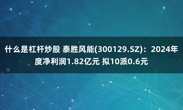 什么是杠杆炒股 泰胜风能(300129.SZ)：2024年度净利润1.82亿元 拟10派0.6元