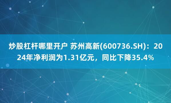 炒股杠杆哪里开户 苏州高新(600736.SH)：2024年净利润为1.31亿元，同比下降35.4%