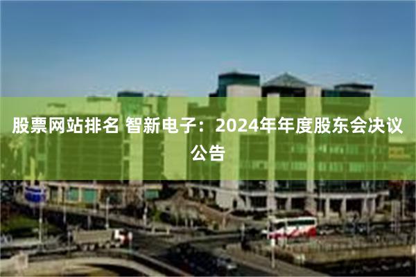 股票网站排名 智新电子：2024年年度股东会决议公告