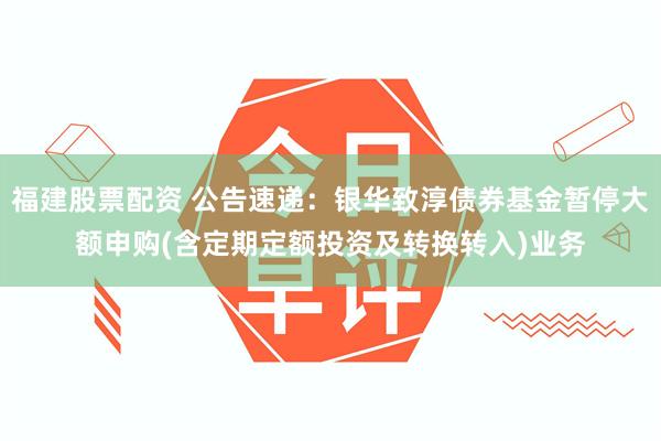福建股票配资 公告速递：银华致淳债券基金暂停大额申购(含定期定额投资及转换转入)业务