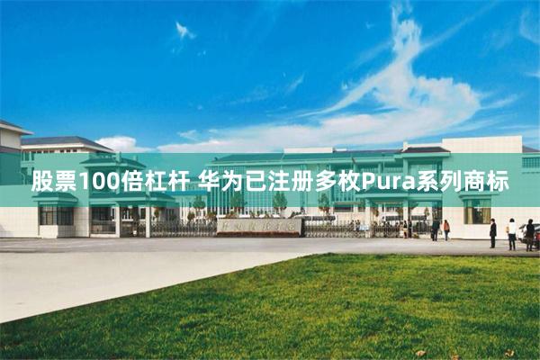 股票100倍杠杆 华为已注册多枚Pura系列商标