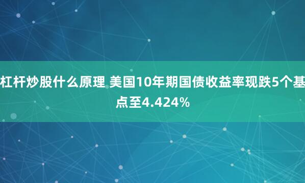 杠杆炒股什么原理 美国10年期国债收益率现跌5个基点至4.424%