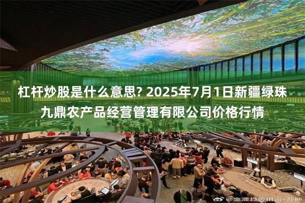 杠杆炒股是什么意思? 2025年7月1日新疆绿珠九鼎农产品经营管理有限公司价格行情